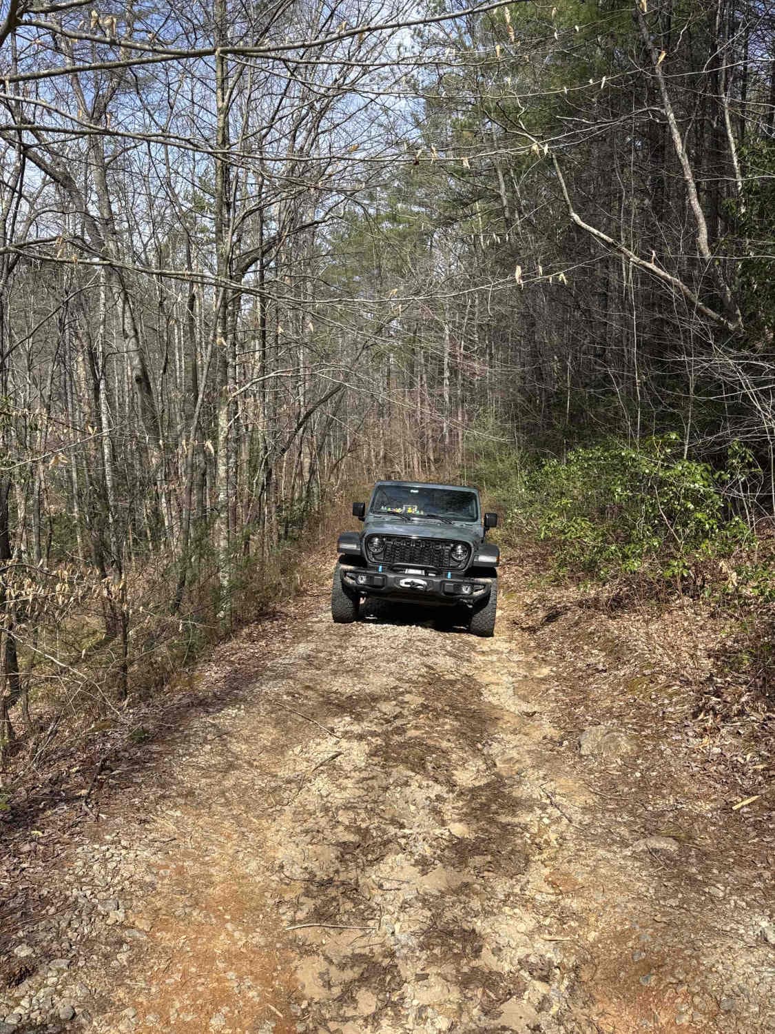 Timpson Creek / Racepath