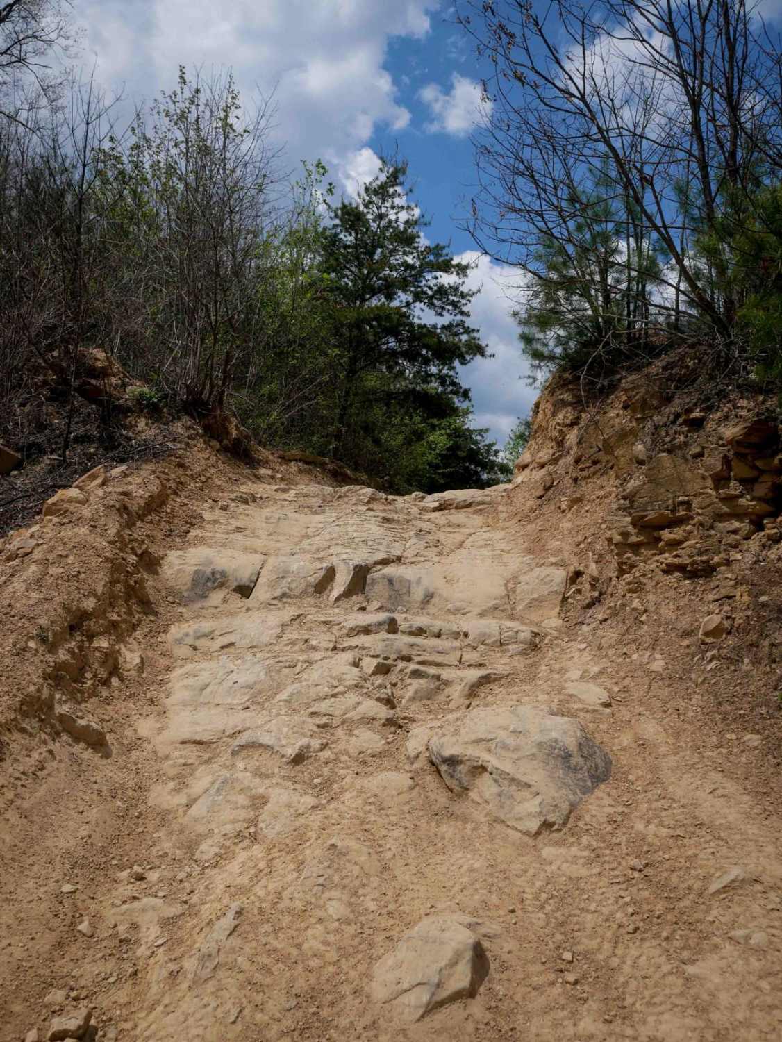 P83