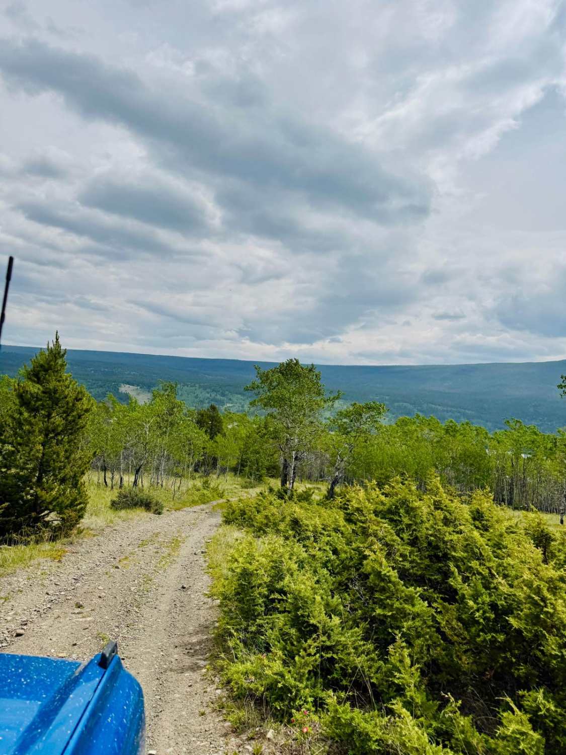 Tsuniah Lake Recreation Site FSR