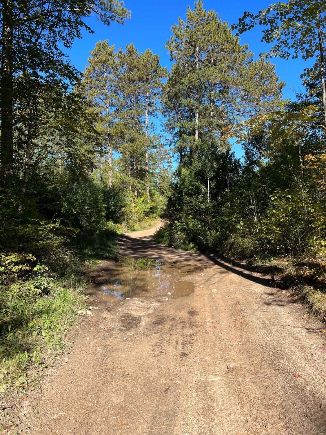 The Narrow Bull Moose Trail