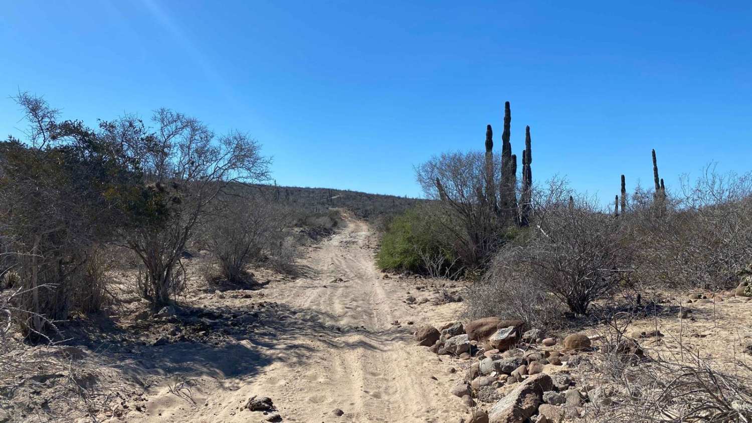 Midway Trail