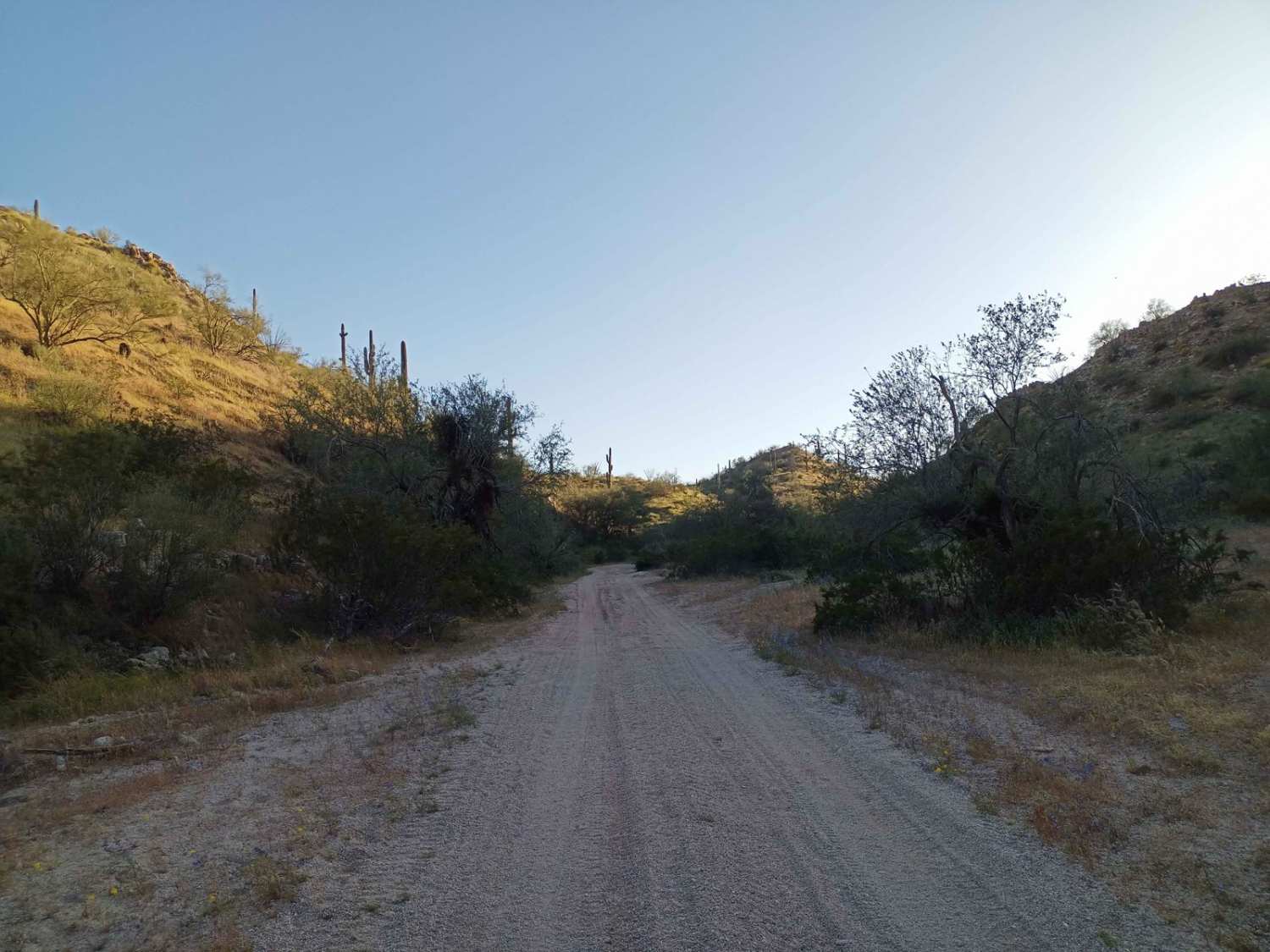 Hawk Hills Canyon