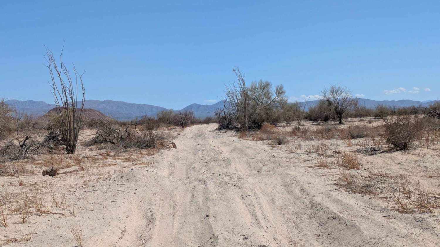 La Carrera De La Bobina Del Desierto
