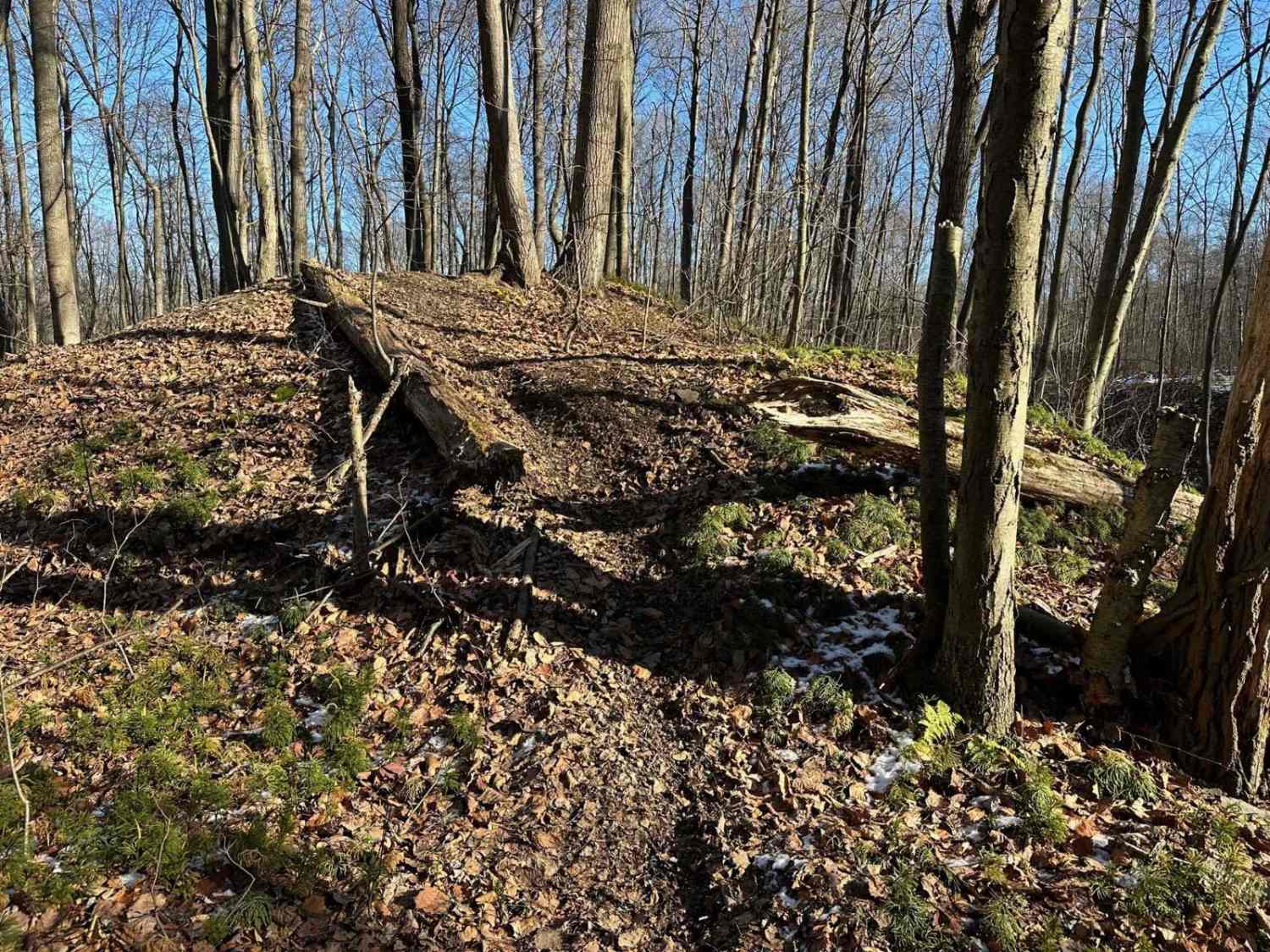 Darkwater Single Track 14