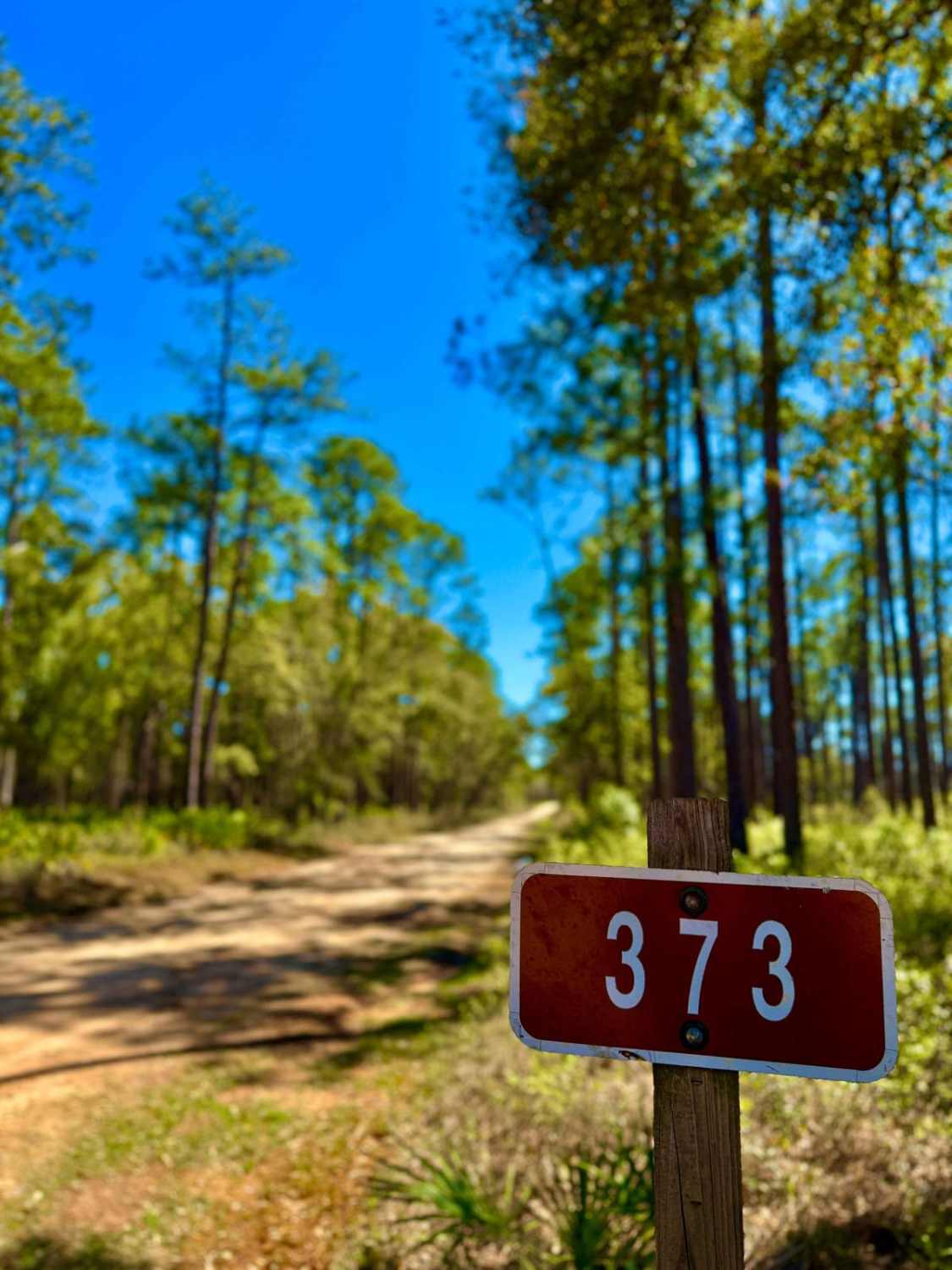 Whites Trail 373