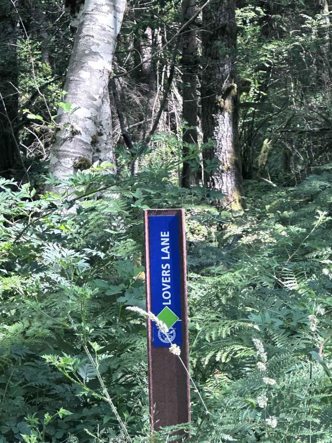 Lovers Lane