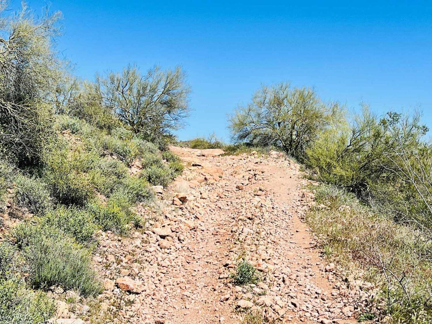 Another Wash Trail BLM 9060