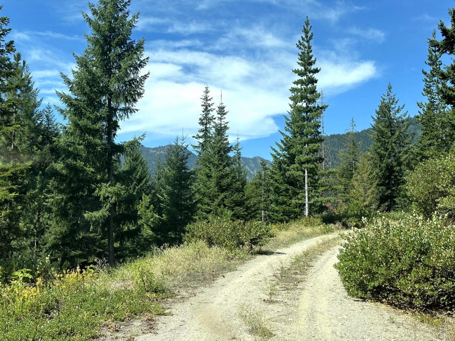 Meadow Ridge Trail