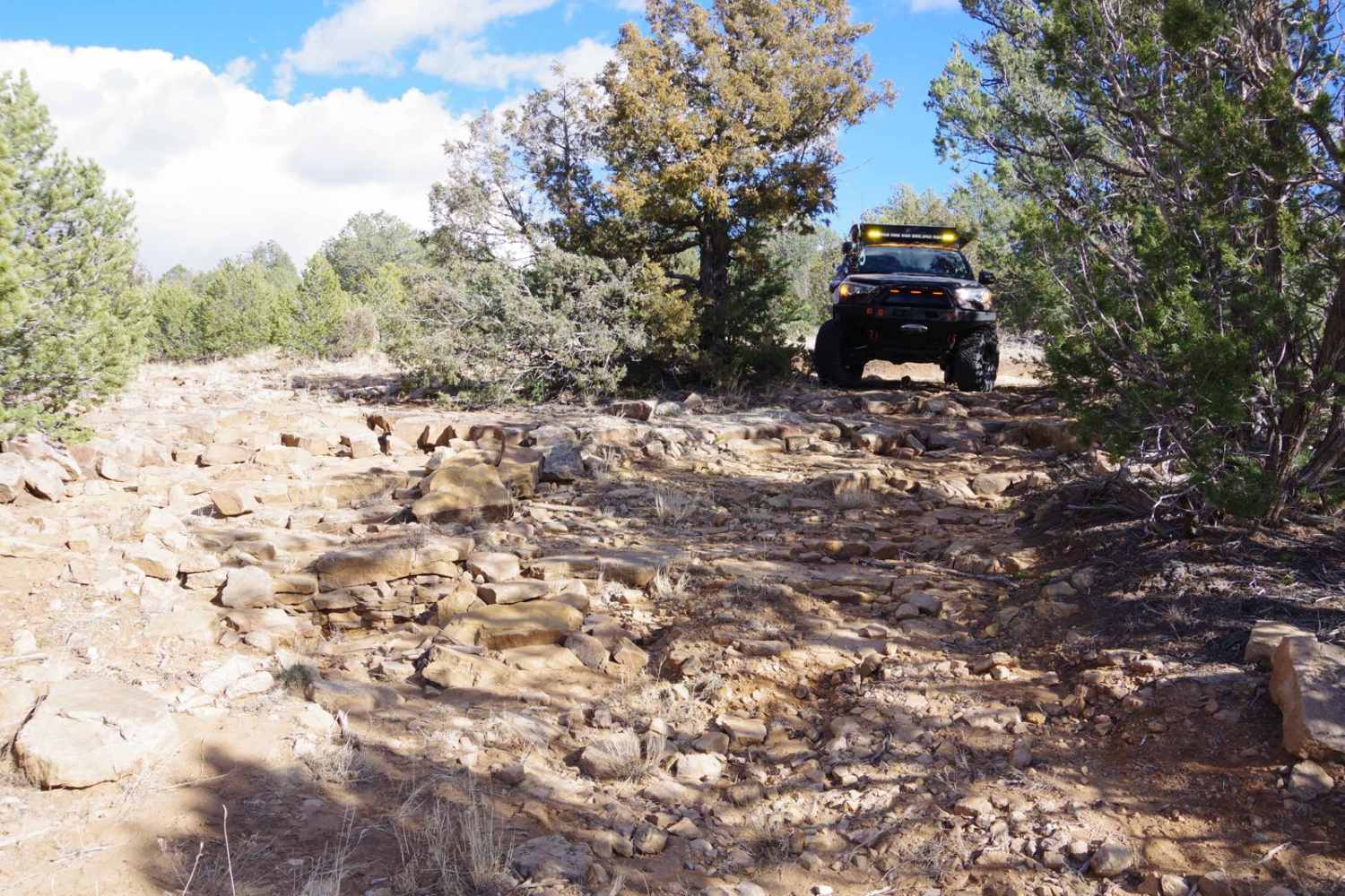 Rowe Mesa Loop