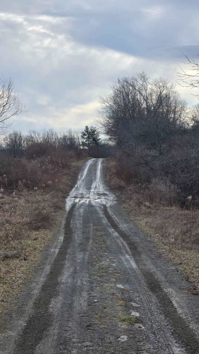 Van Amburg Road