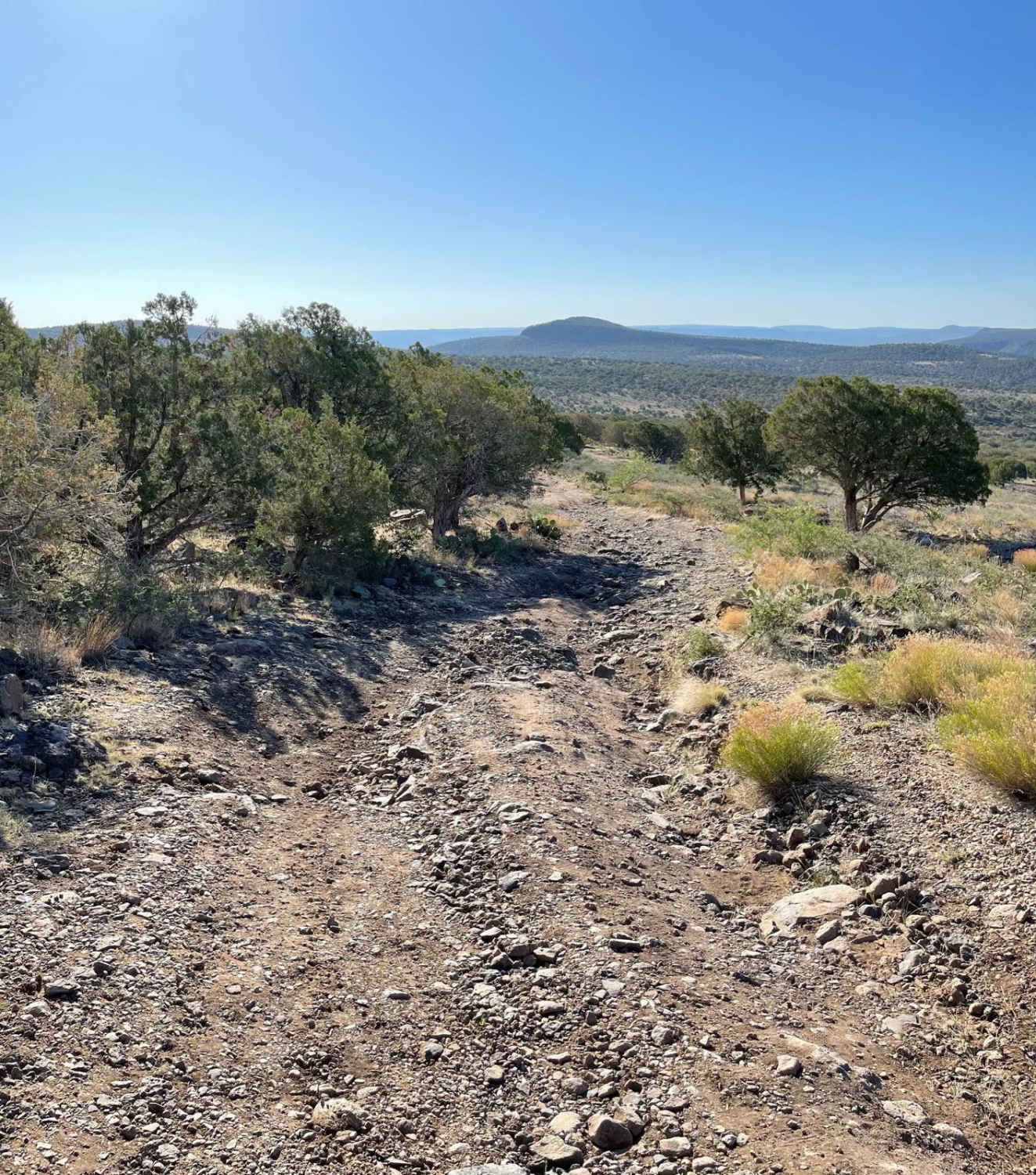 Cell Tower Side Road