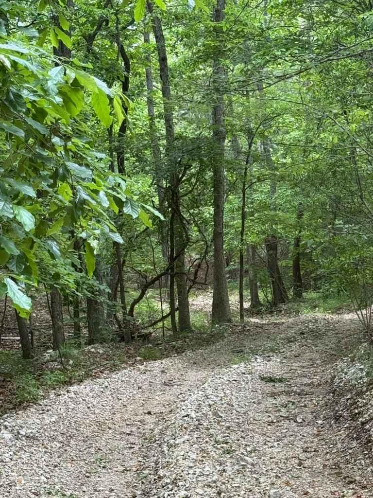 Micheal's Trail
