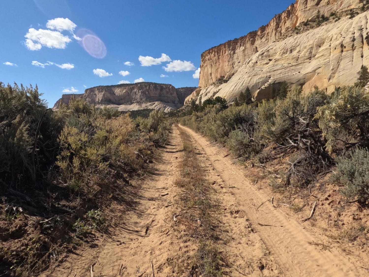 Nephi Pasture Road
