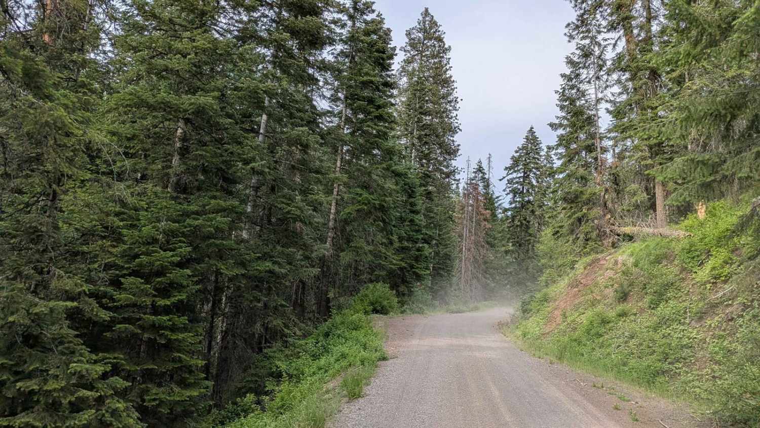 North Mill Creek 50150