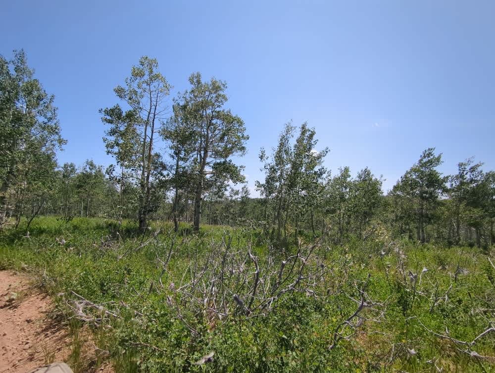 Dry Bread Hollow ATV