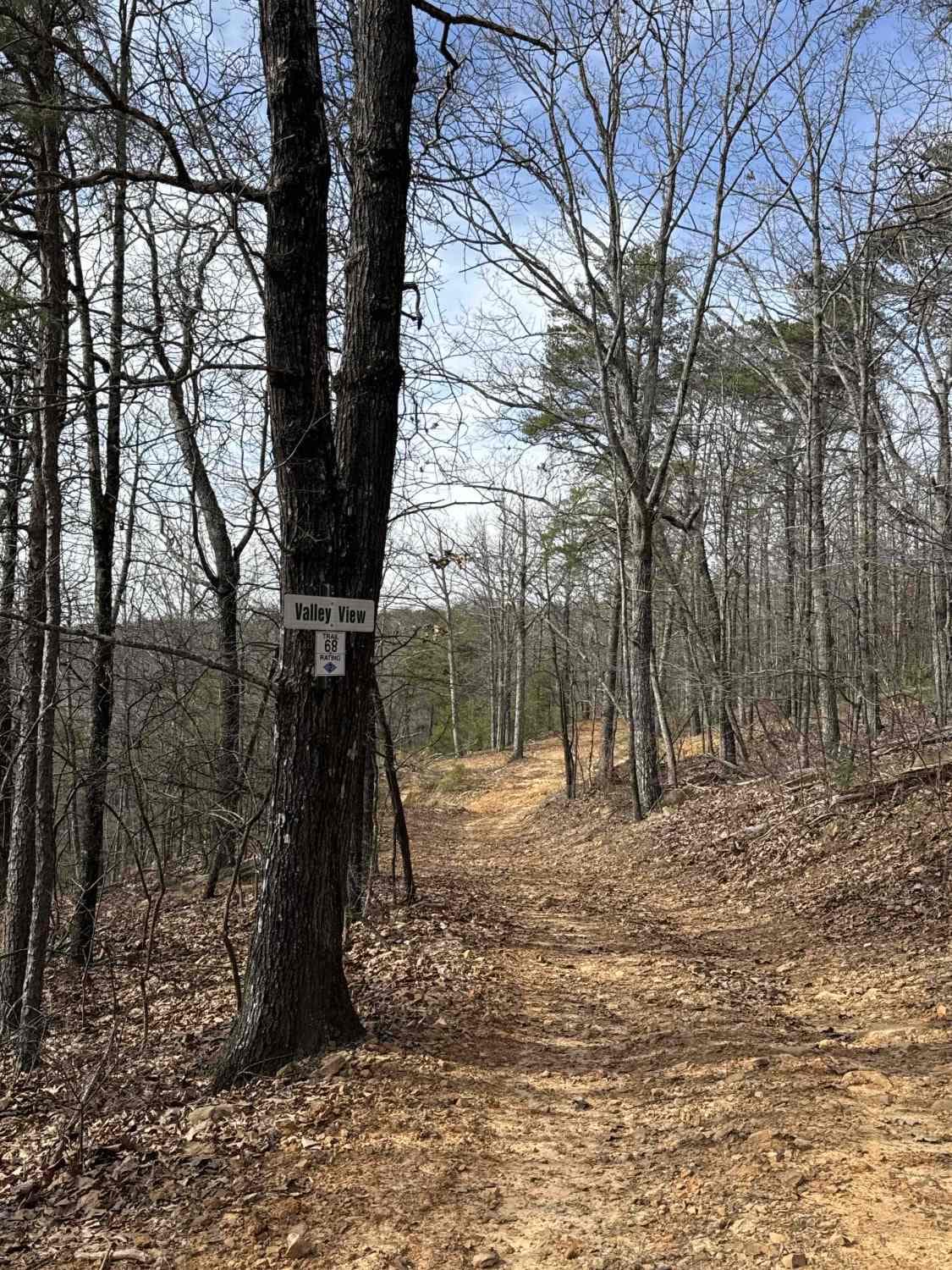 #68 Valley View