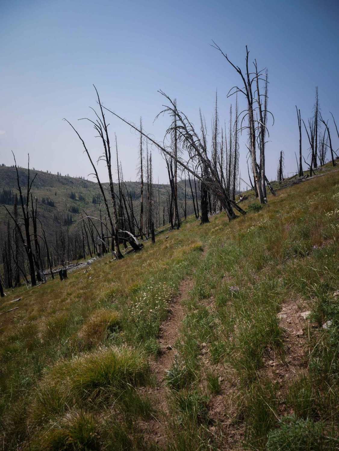 Hay Knapp Creek