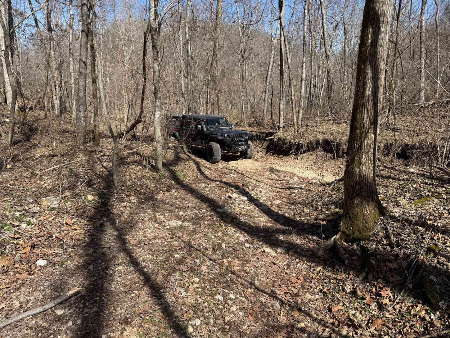 Morgans Creek 377
