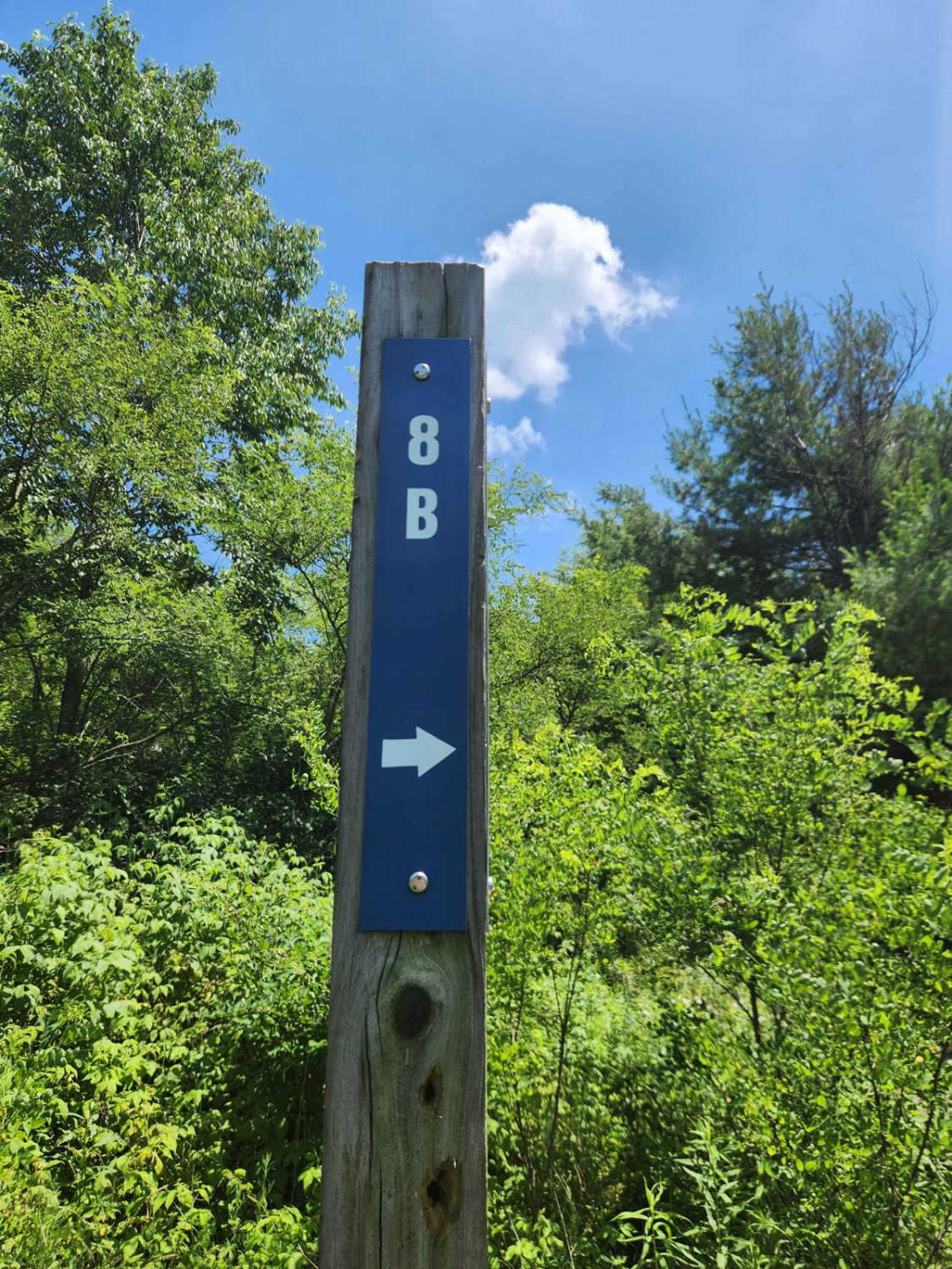 Trail 8B - Rock Run Recreation Area