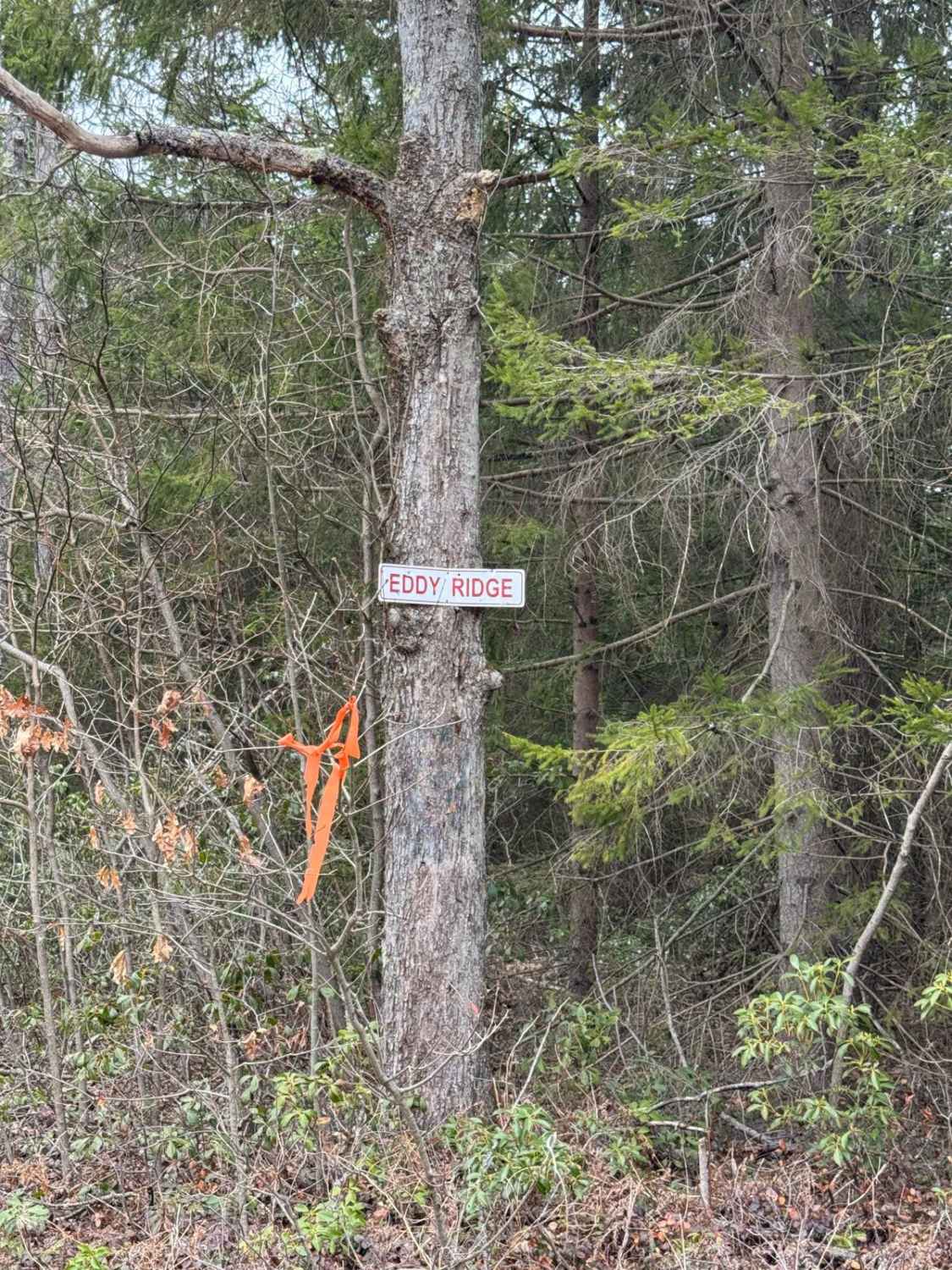 Eddy Ridge Road