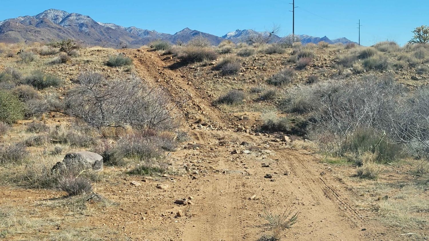 Spur Loop to Chloride AZPT Connector (Southeast)