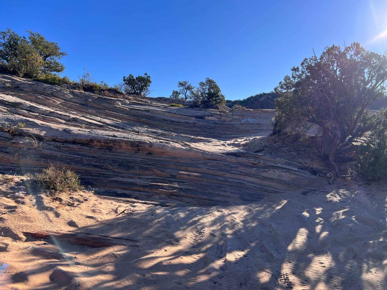 Hog Canyon 5 - Savage Point (BLM HC5/5A) 