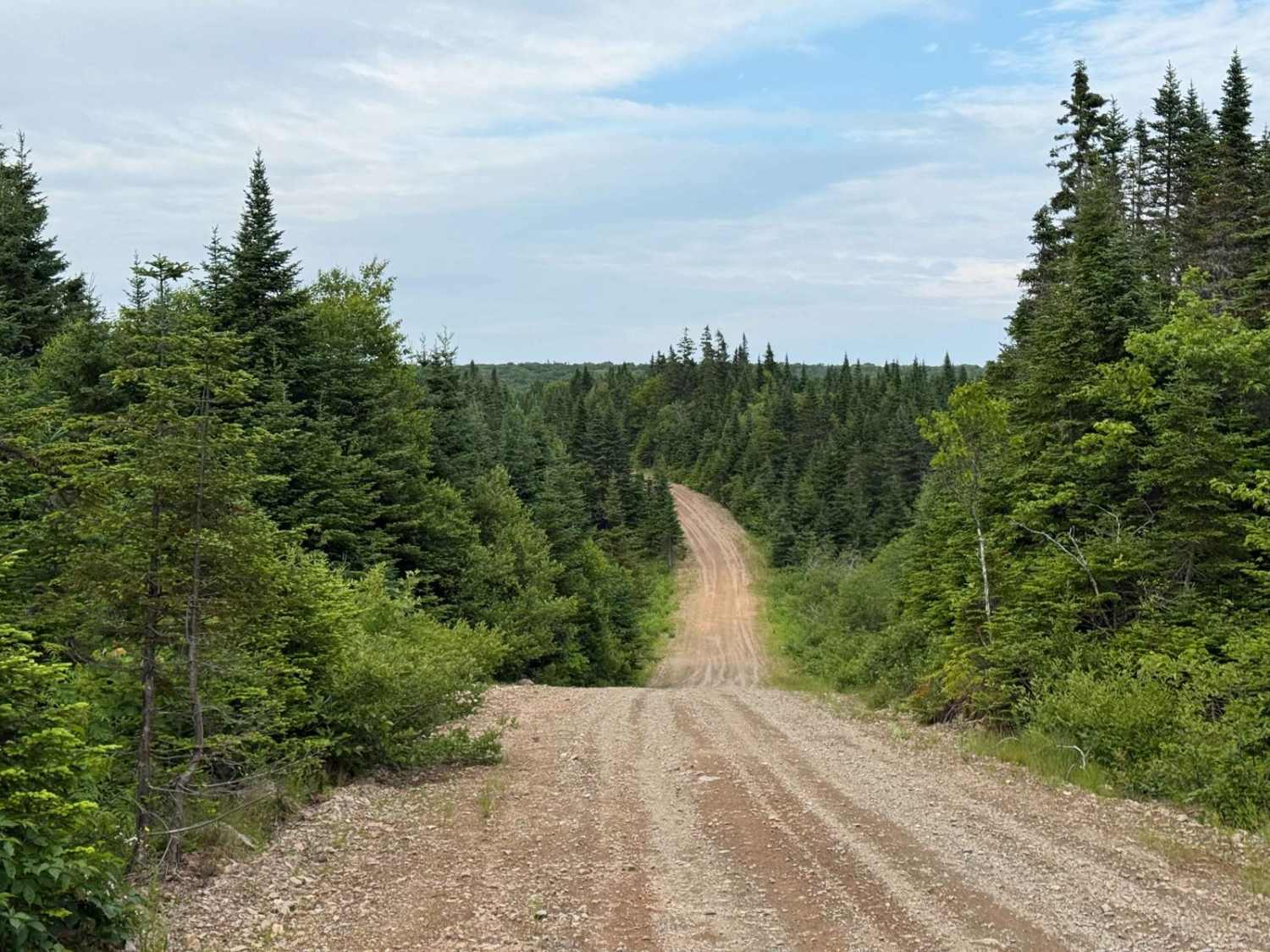 Gillanders Mountain Road East