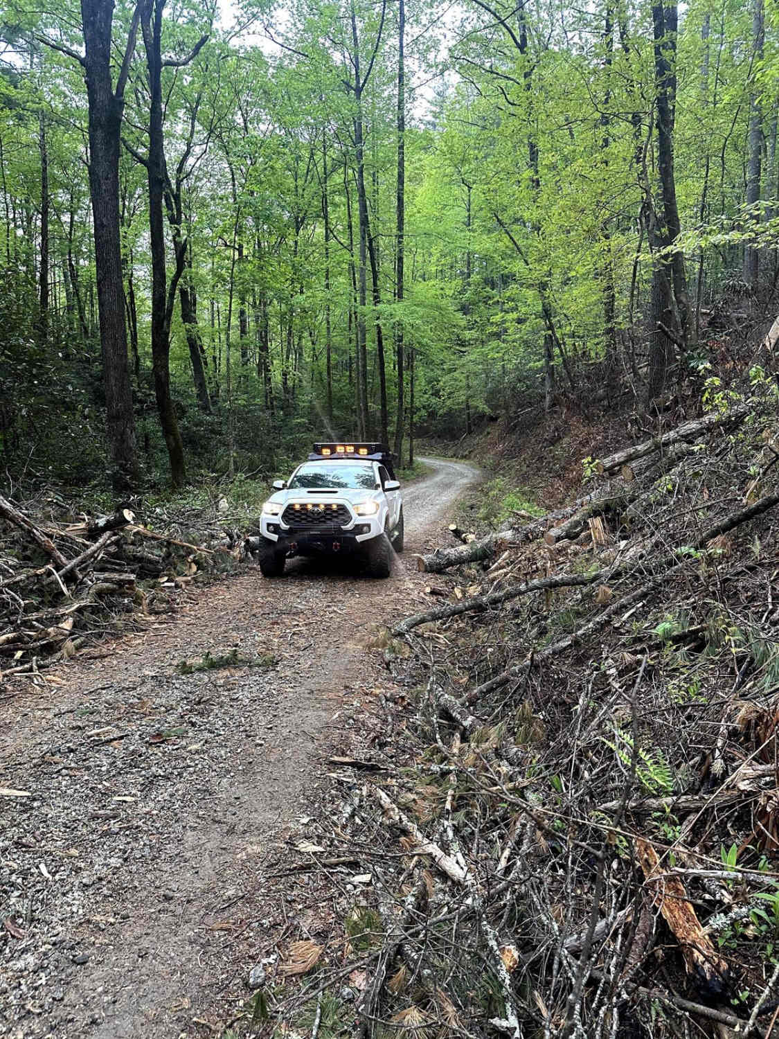 Walnut Fork