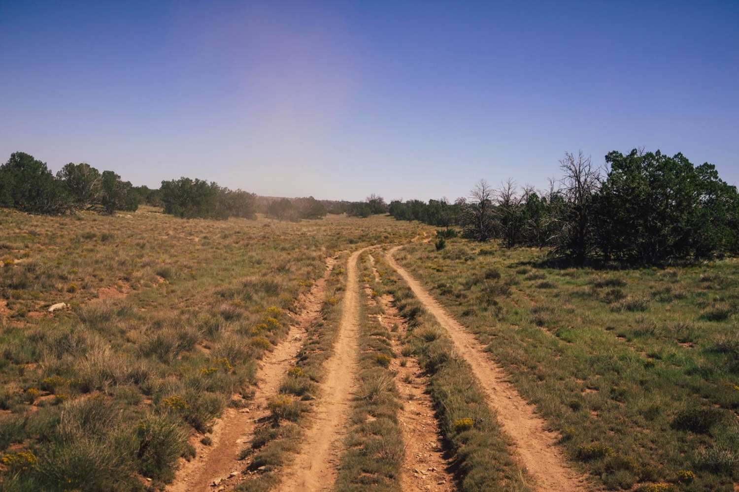 Buckhorn Canyon