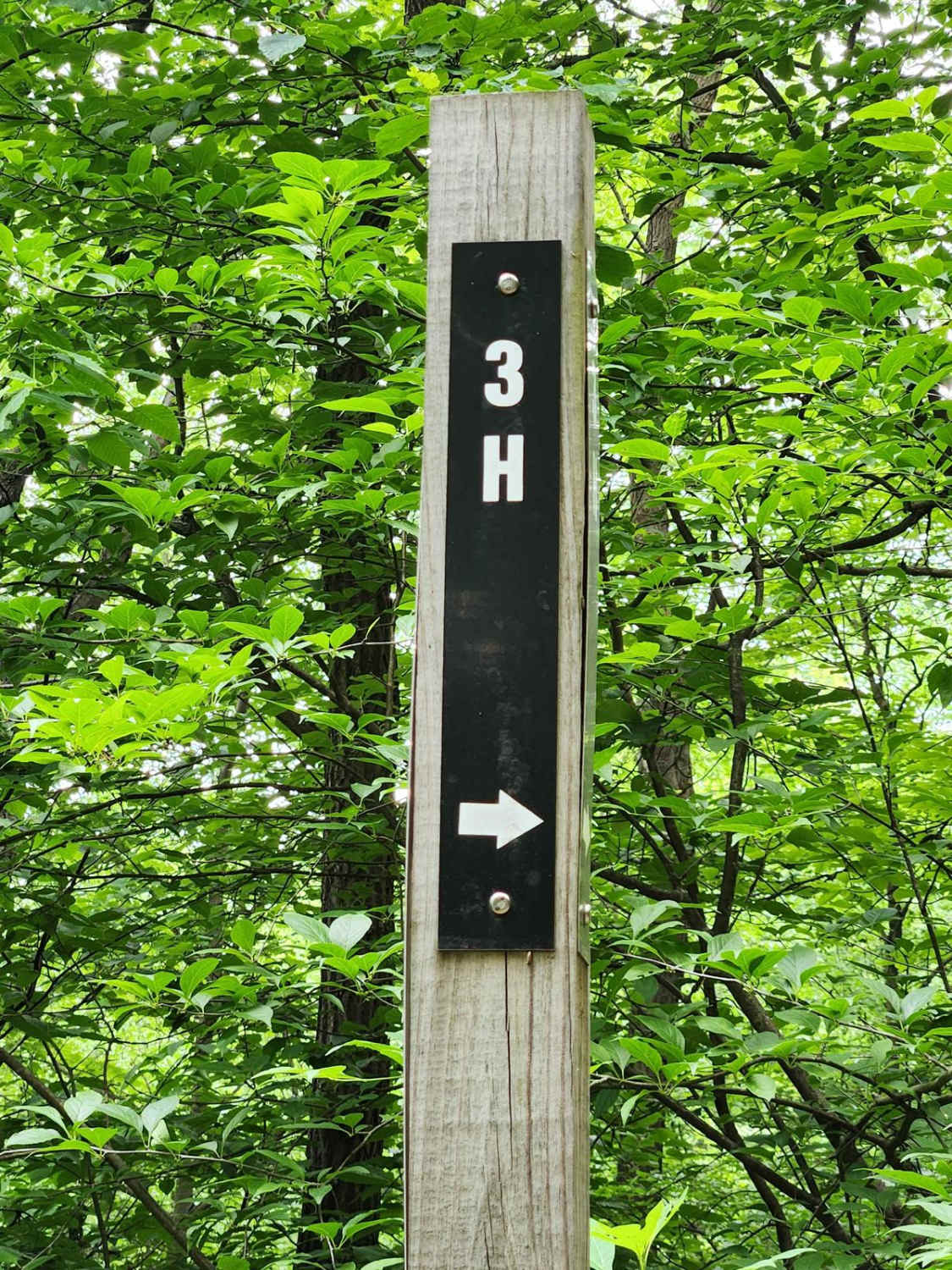 Trail 3H - Rock Run Recreation Area