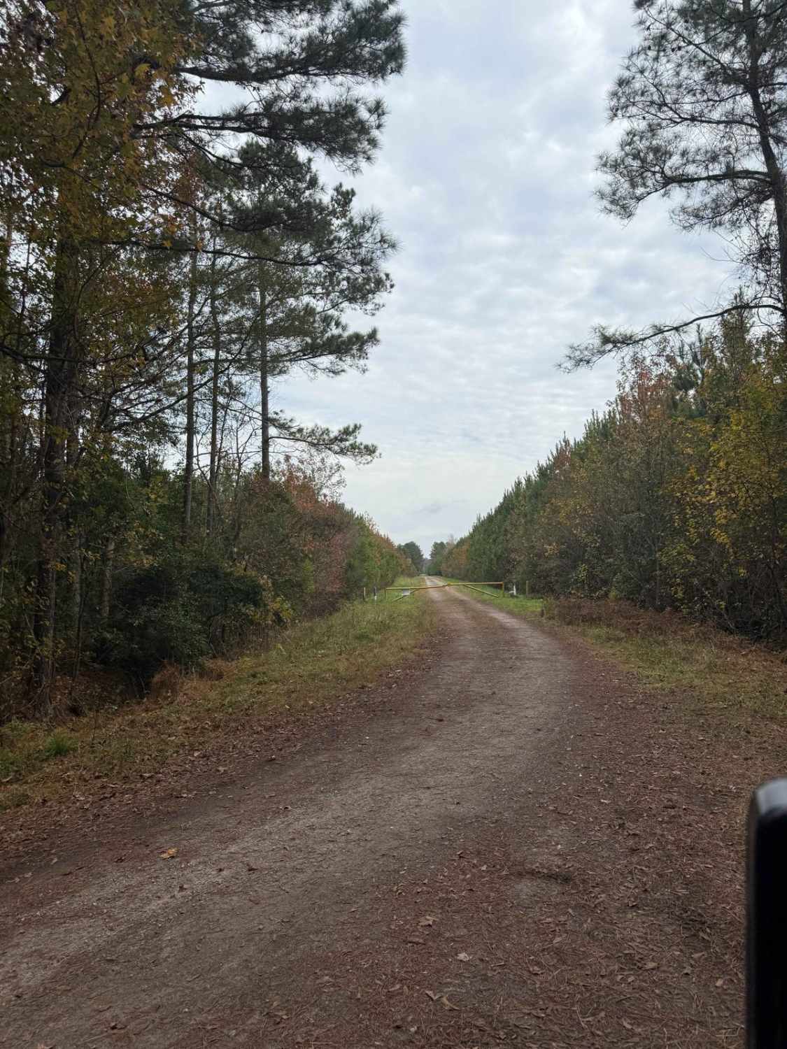 Crooked Road