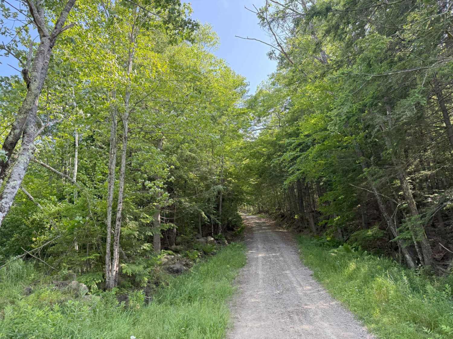 Caverly Road to Devil's Den Road
