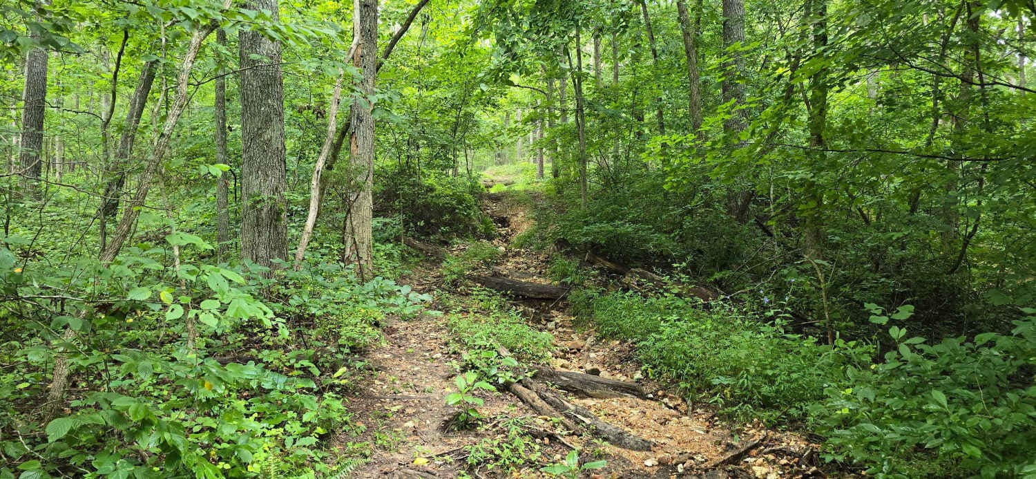 Smith Mill Hollow - FS 2877