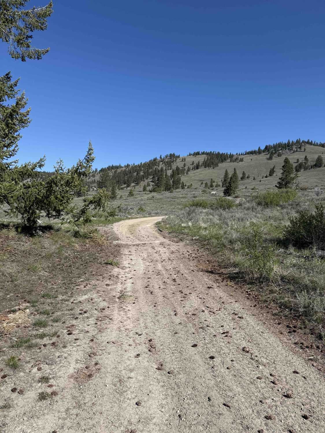 Trail to Crump Siding Recreation Site
