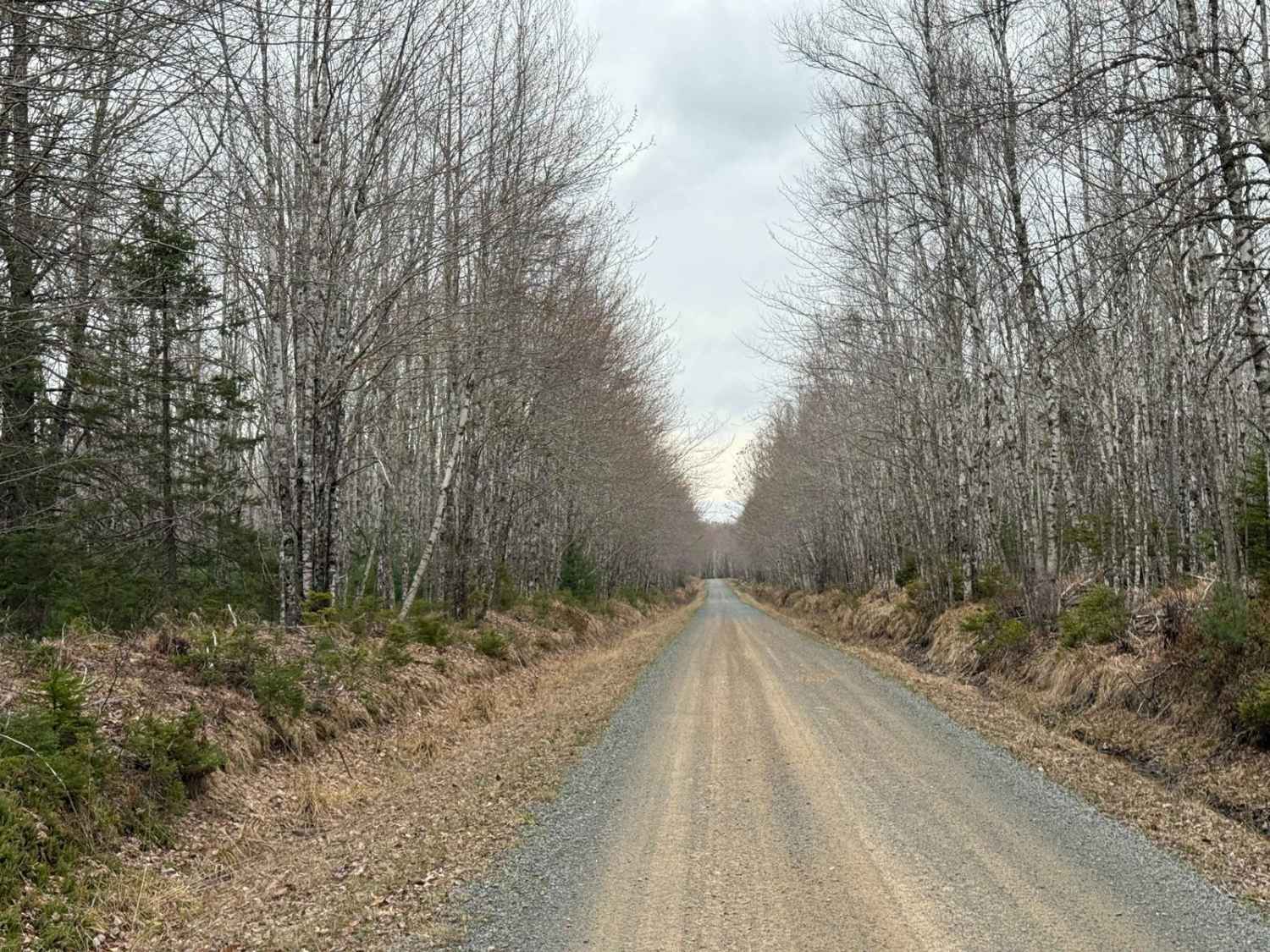 Straight Road Trail
