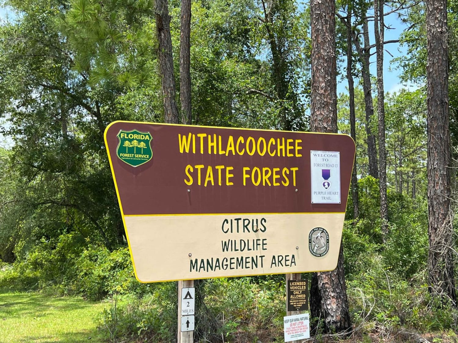 Citrus Wildlife Management | Trail 13