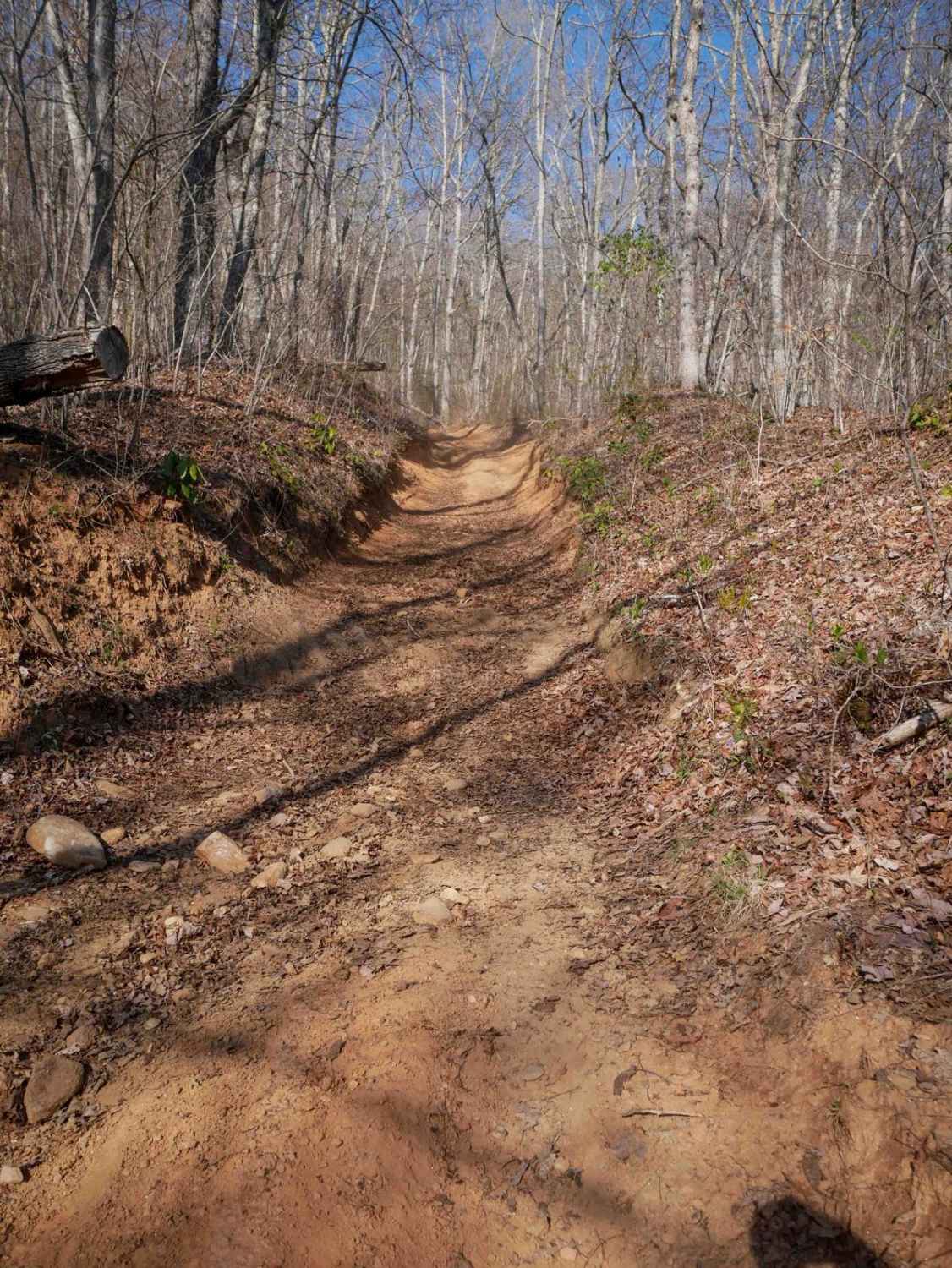 Black Mountain Trail 3