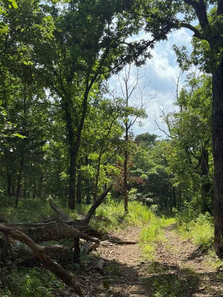 Truce's Trail