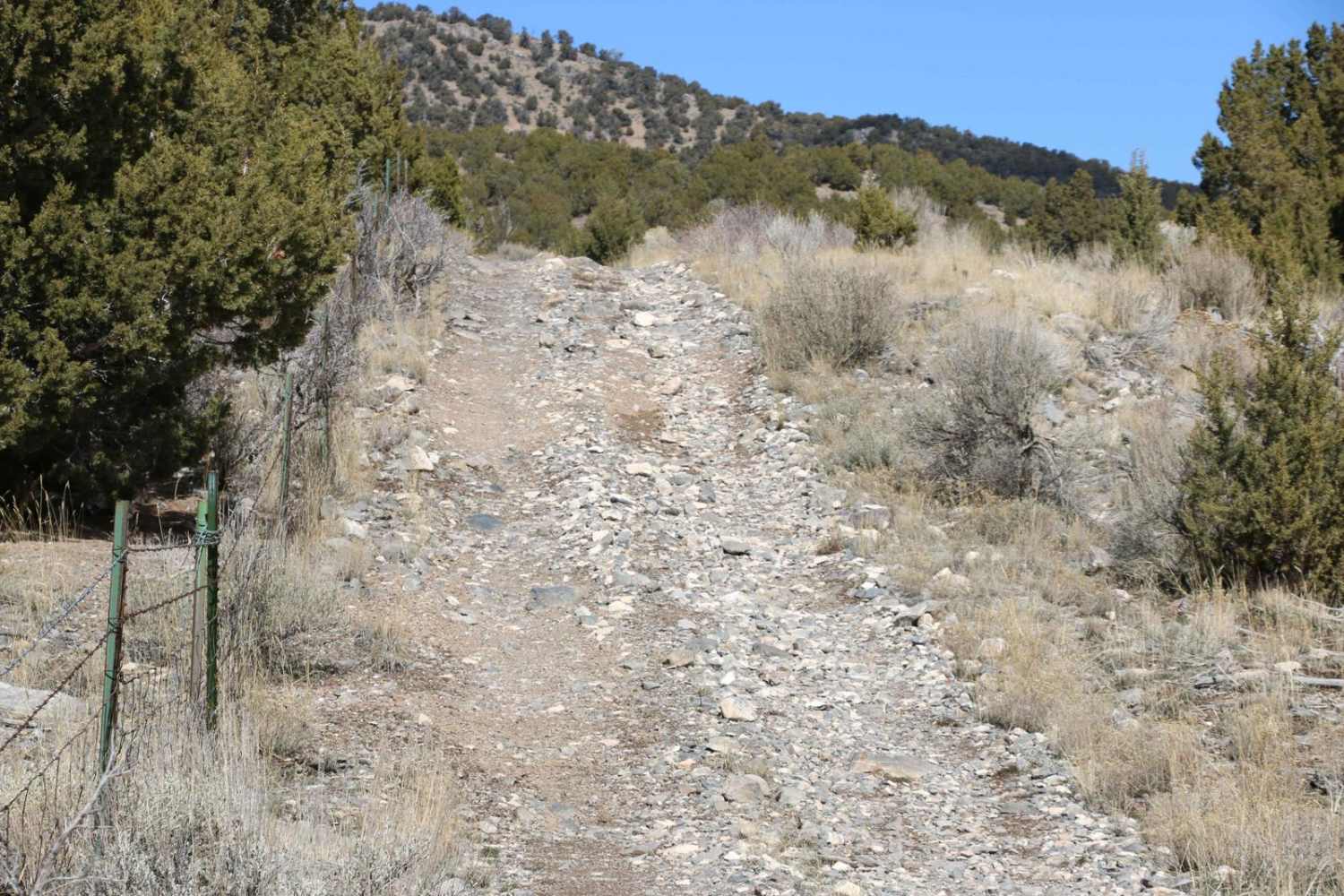 Little Mountain Loop