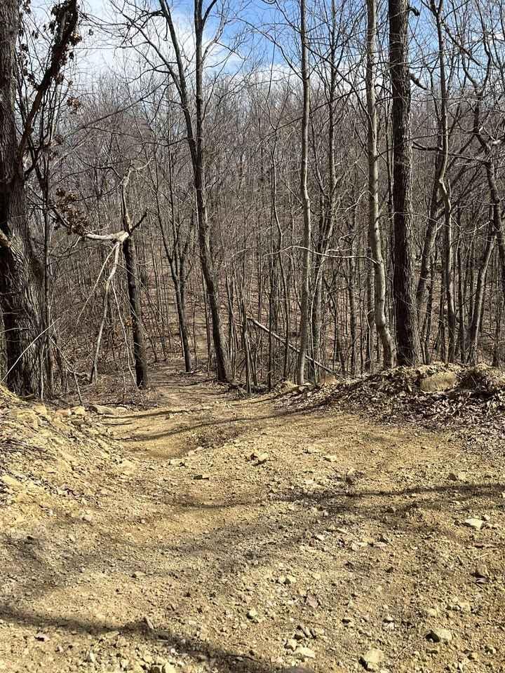 Trail 31