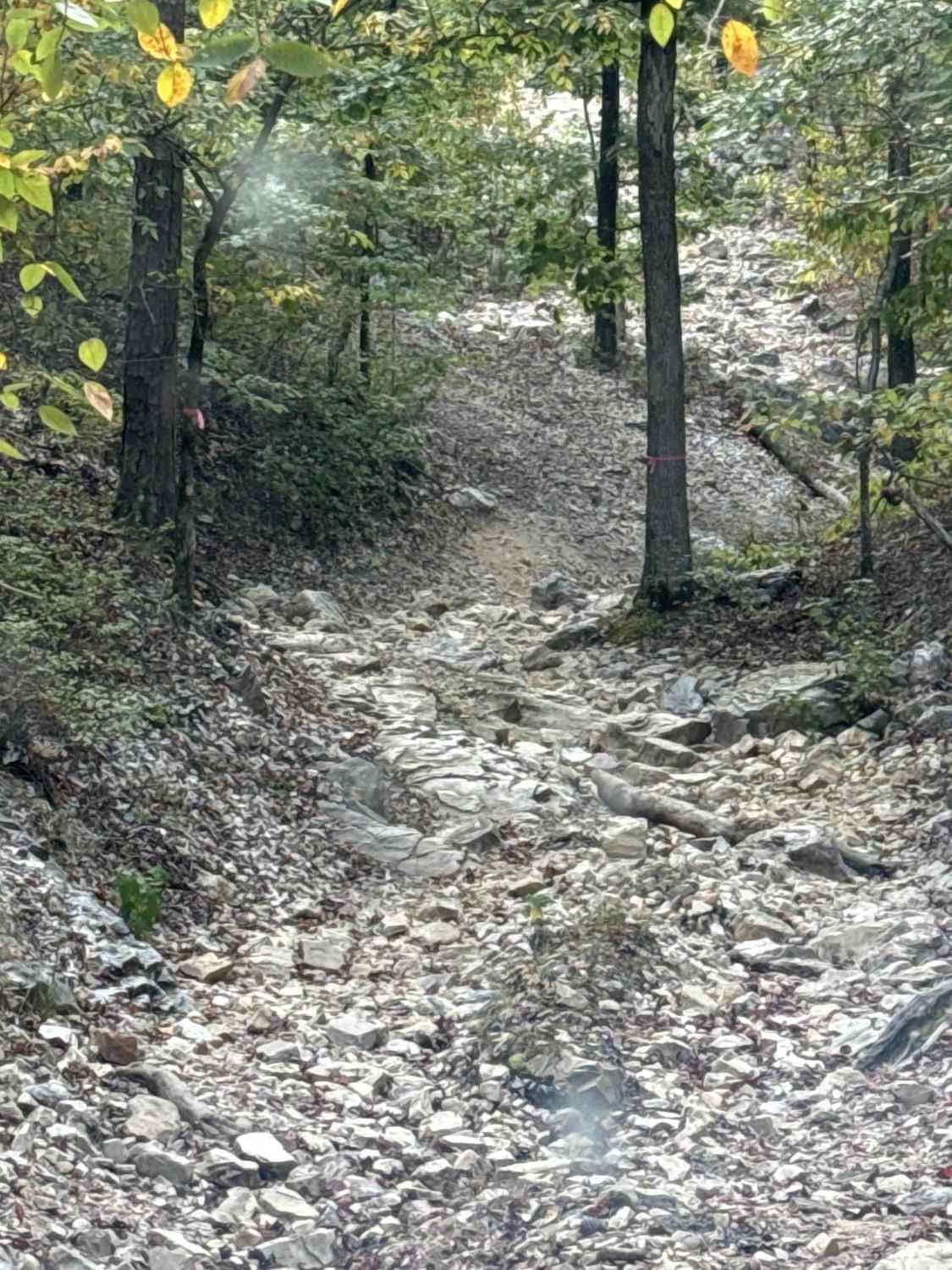 Ravine