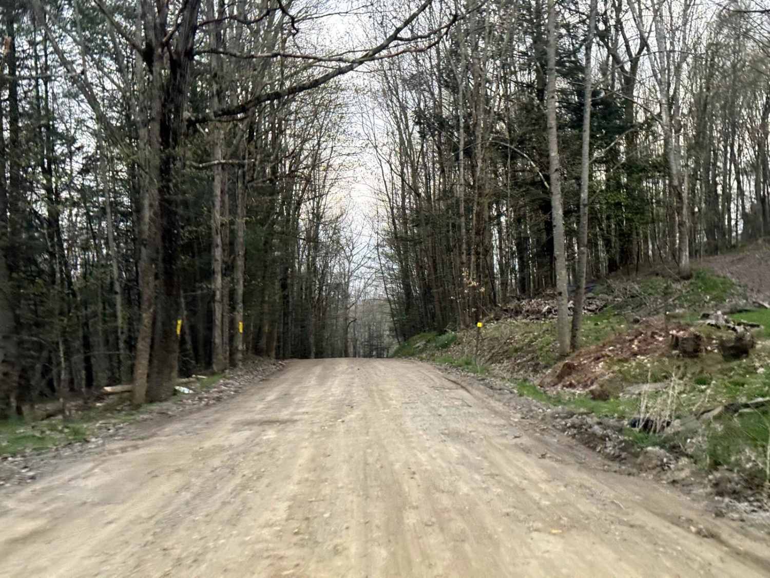 Cross Road
