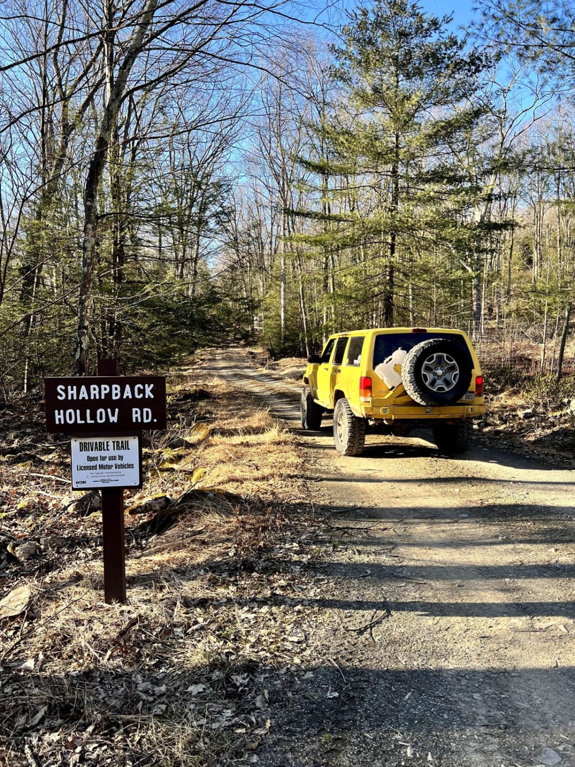 Sharpback Hollow Road