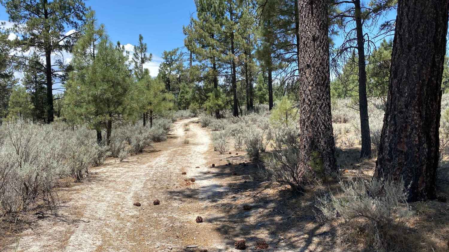 Rancho San Luis Road