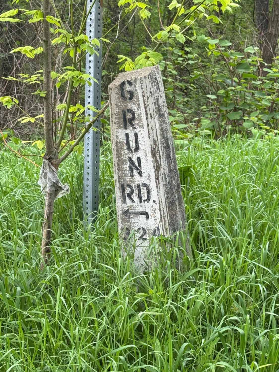 Dog Run Road