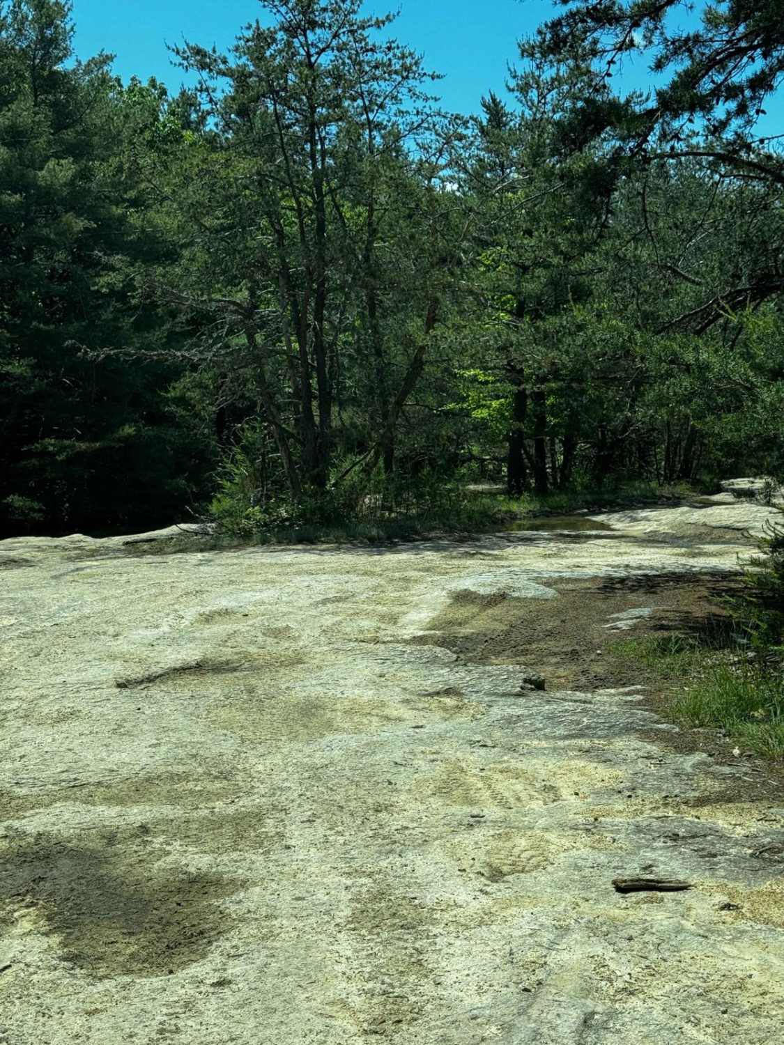 Brown Mountain Trail 8