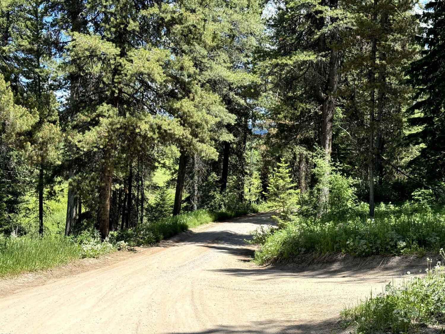 Pacific Creek Wilderness Road