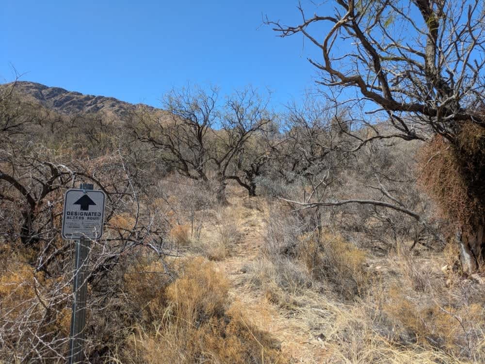 Brown Canyon Trail