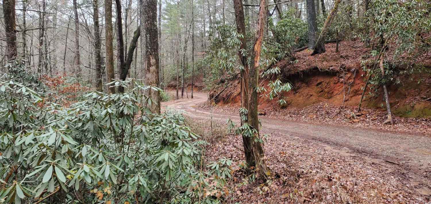 Hickorynut Gap - FSR 797