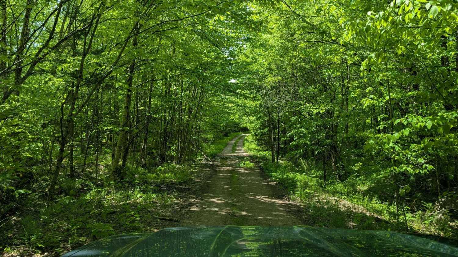 Goblet Springs Road